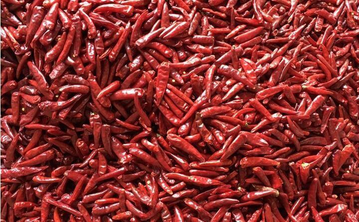 Trieuse colorimétrique intelligente Wenyao Heavy Duty avec caméra CCD RVB pour le tri des piments et de l'ail et un débit de 1000-1500 kg/h avec télécommande Wifi