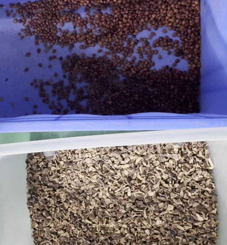 Wenyao 2025 Nouvelle Machine Intelligente de Tri de Couleur de Savon en Gélules à Double Courroie et Haute Précision avec Contrôle à Distance WIFI