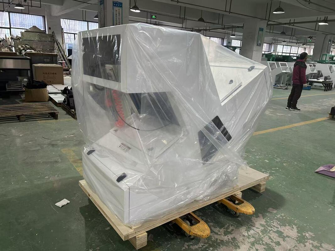 TRIEUSE OPTIQUE COULEUR POUR CHÂTAIGNES DÉSHYDRATÉES ET SÉCHÉES WENYAO 1