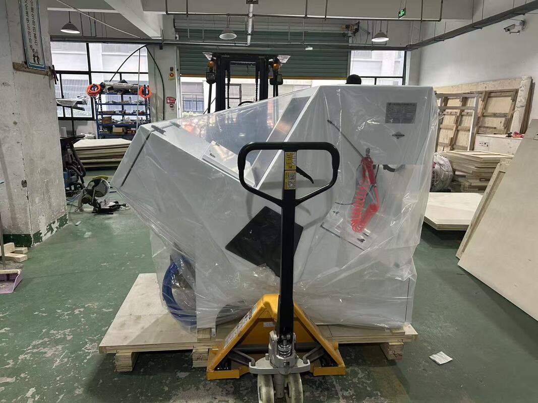 Trieur de couleur de châtaignes séchées pour noix - Trieur photo de Chine