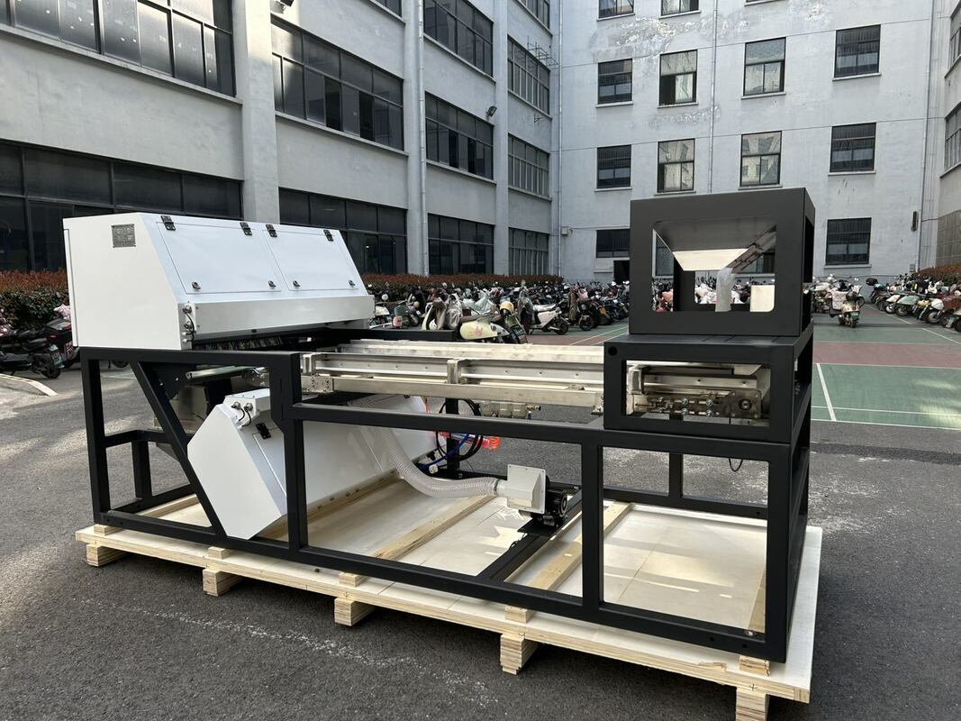 Trieur de couleurs à haute capacité de 600 mm de largeur de bande, couleur Juniper, pour framboises séchées, myrtilles et tri de grains