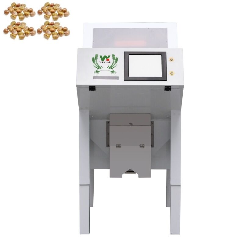 TRIEUSE OPTIQUE COULEUR POUR CHÂTAIGNES DÉSHYDRATÉES ET SÉCHÉES WENYAO 1