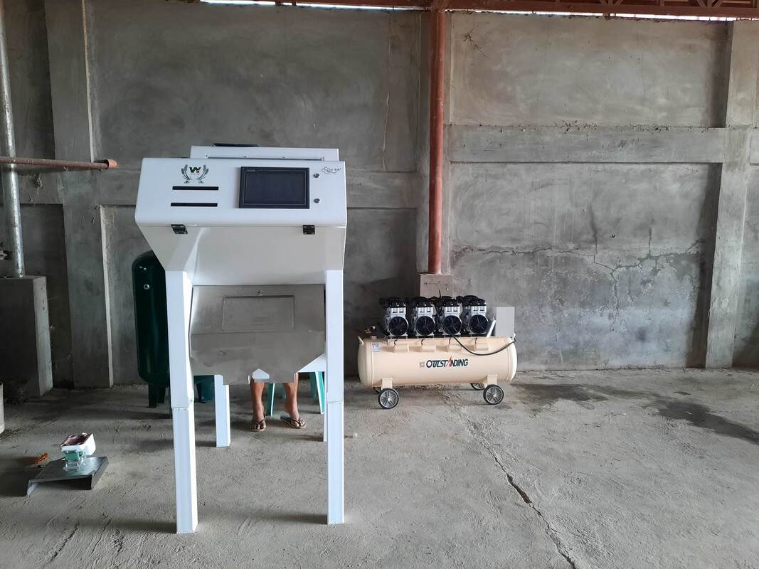 Machine de séparation de noix professionnelle de Wenyao Noix de cajou Noix de Walnut Areca Noix Sorteur de couleur avec télécommande WIFI