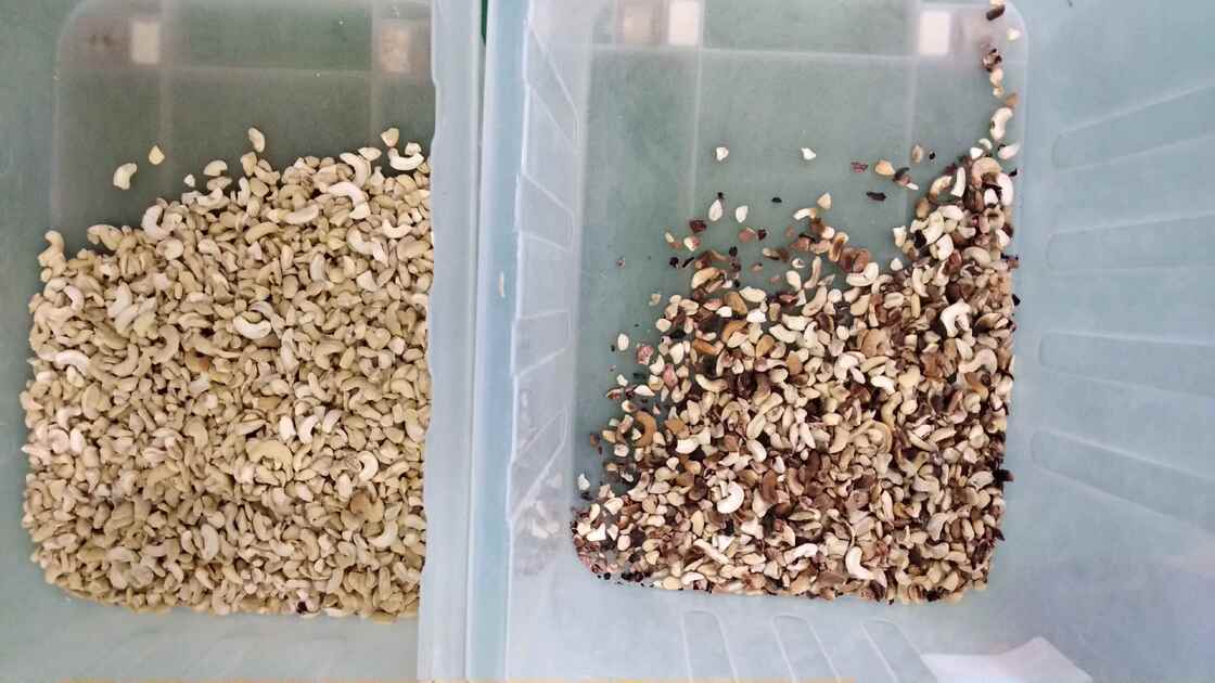 Machine de séparation de noix professionnelle de Wenyao Noix de cajou Noix de Walnut Areca Noix Sorteur de couleur avec télécommande WIFI