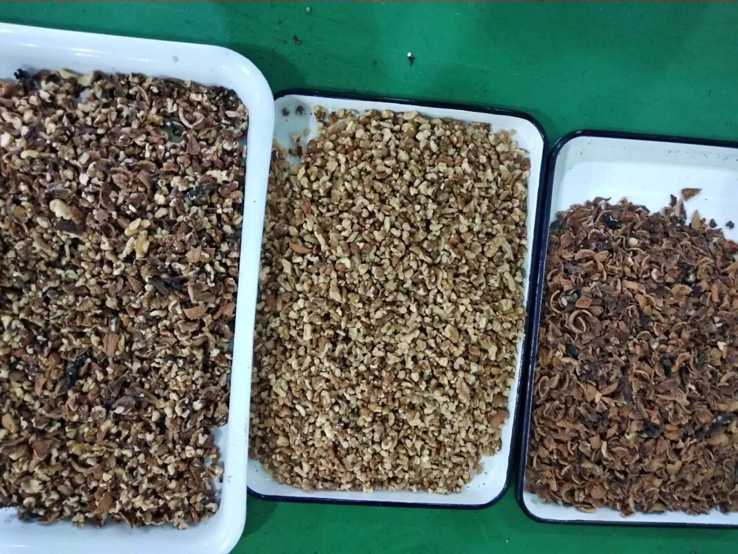 Machine de séparation de noix professionnelle de Wenyao Noix de cajou Noix de Walnut Areca Noix Sorteur de couleur avec télécommande WIFI