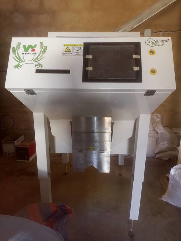 Wenyao Vente chaude Sorteur optique de couleurs Sortie de couleurs de grains de café