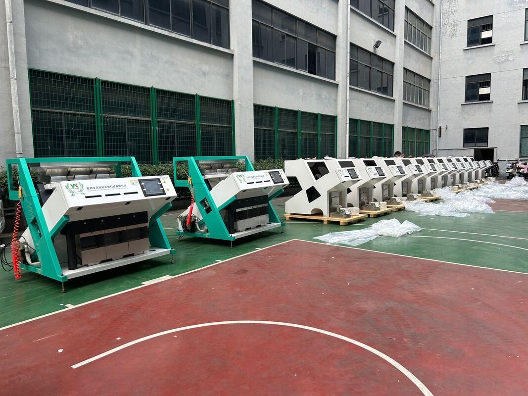 Wenyao Vente chaude Sorteur optique de couleurs Sortie de couleurs de grains de café