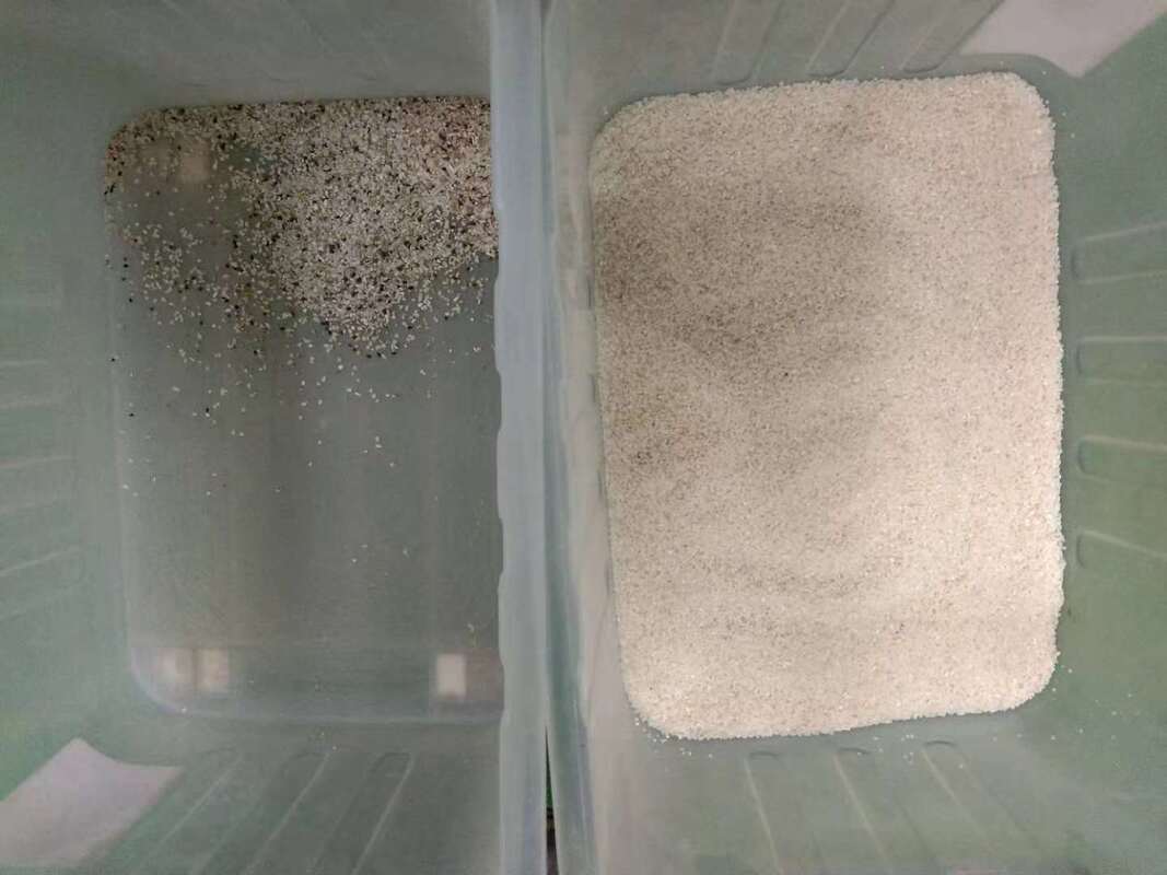 Wenyao La plus récente IA apprenant séparateur de couleurs agricole équipement de tri des couleurs de quinoa pour le nettoyage des grains de riz tri automatique optique