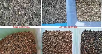 Intelligent Optical Color Sorter for Nuts with High Accuracy and 2-6TPH Output