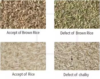 Sortisseur de couleurs de haute précision pour séparateur de céréales machine séparateur de forme de grains de riz de blé de maïs