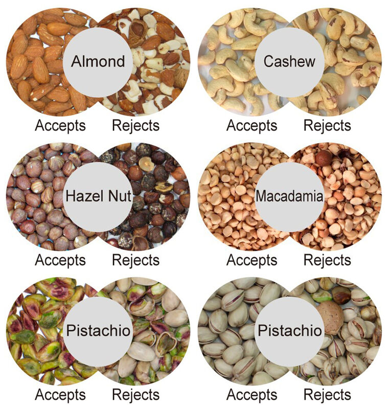 Trieuse de noix WENYAO avec une capacité de 2400-4000 kg et une précision de 0,999 pour le tri des noix de macadamia
