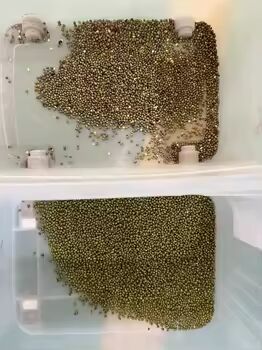 Sortisseur de couleur de grains de haute précision avec une sortie de 3-8TPH et une précision de tri ≥ 99,99% pour le riz, le sarrasin, le quinoa, le millet