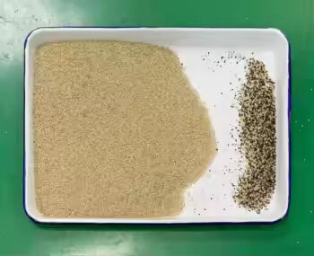 Sortisseur de couleur de grains de haute précision avec une sortie de 3-8TPH et une précision de tri ≥ 99,99% pour le riz, le sarrasin, le quinoa, le millet