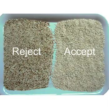 Sortisseur de couleur de grains de haute précision avec une sortie de 3-8TPH et une précision de tri ≥ 99,99% pour le riz, le sarrasin, le quinoa, le millet