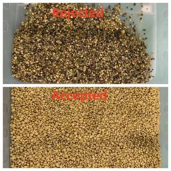 Sortisseur de couleur de grains de haute précision avec une sortie de 3-8TPH et une précision de tri ≥ 99,99% pour le riz, le sarrasin, le quinoa, le millet