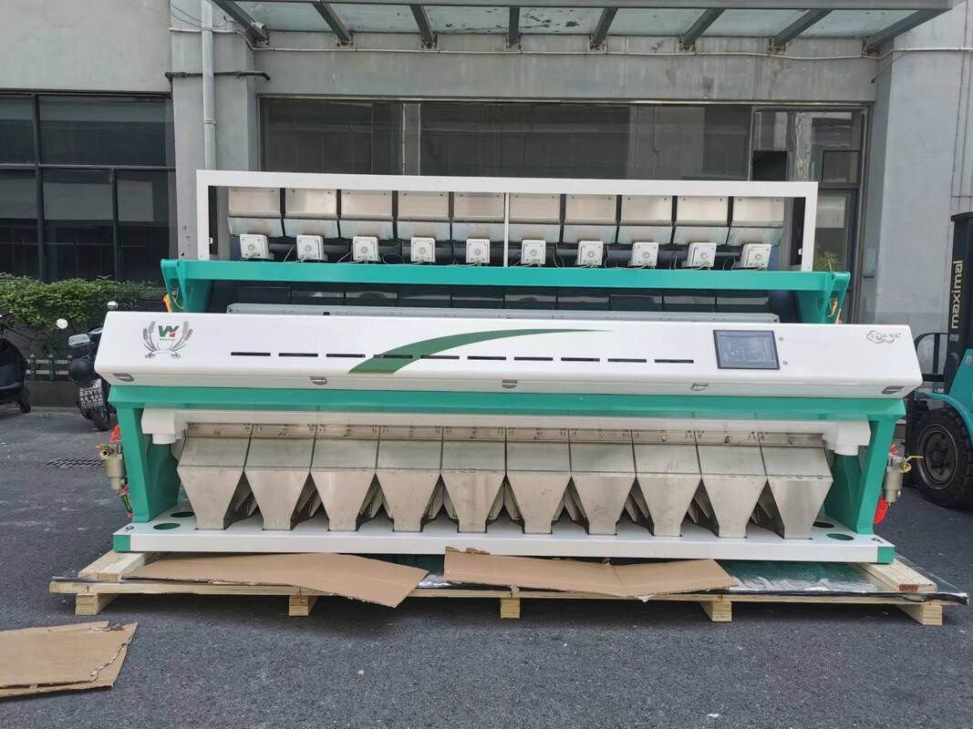 Wenyao High Accuracy CCD  Color Sorter For Sunflower Seeds  Seeds Color Sorting Machine