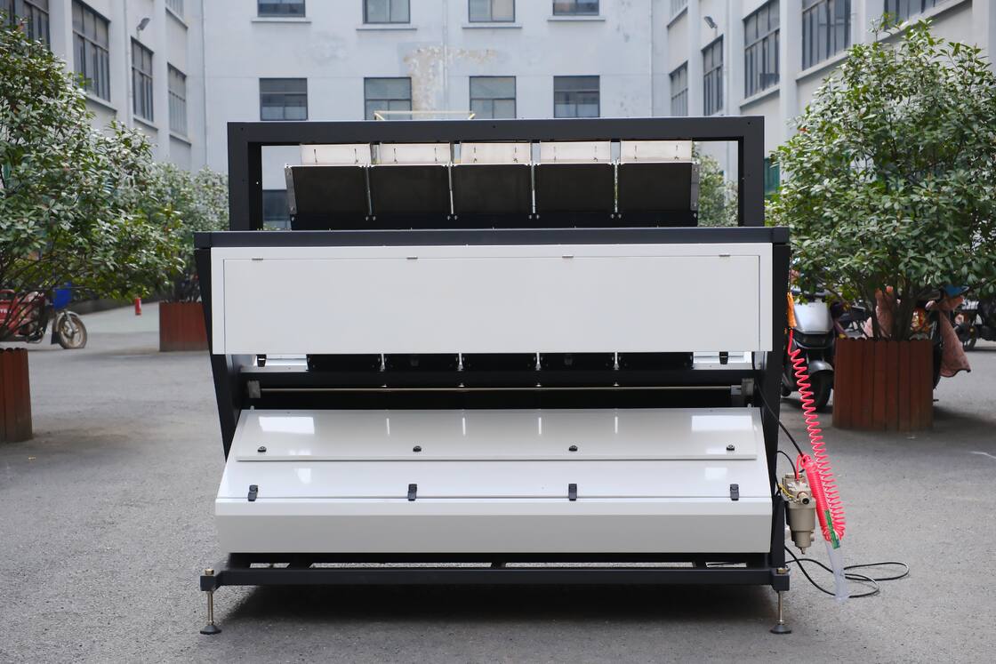 Wenyao 5 Chute Sortisseur optique intelligent Sortisseur automatique de couleurs de noix Noix et machine de tri de couleurs de noix de pin