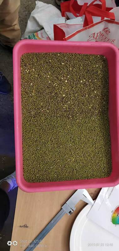 Machine de tri optique de couleur de grains automatique certifiée CE pour haricots noirs, grains de café, lentilles à vendre 2026