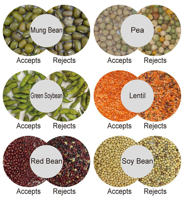 Machine de tri des grains de café WENYAO AI Color & Shape Sorter 99,99% précision 2500-8000kg/h Capacité haute pureté Garantie de 2 ans