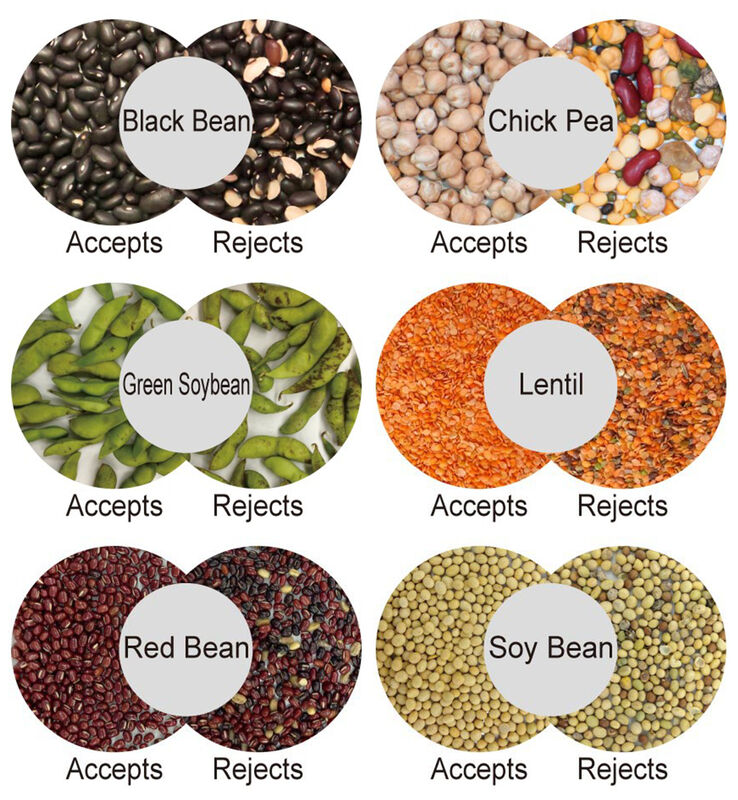 Machine de tri des grains de café WENYAO AI Color & Shape Sorter 99,99% précision 2500-8000kg/h Capacité haute pureté Garantie de 2 ans