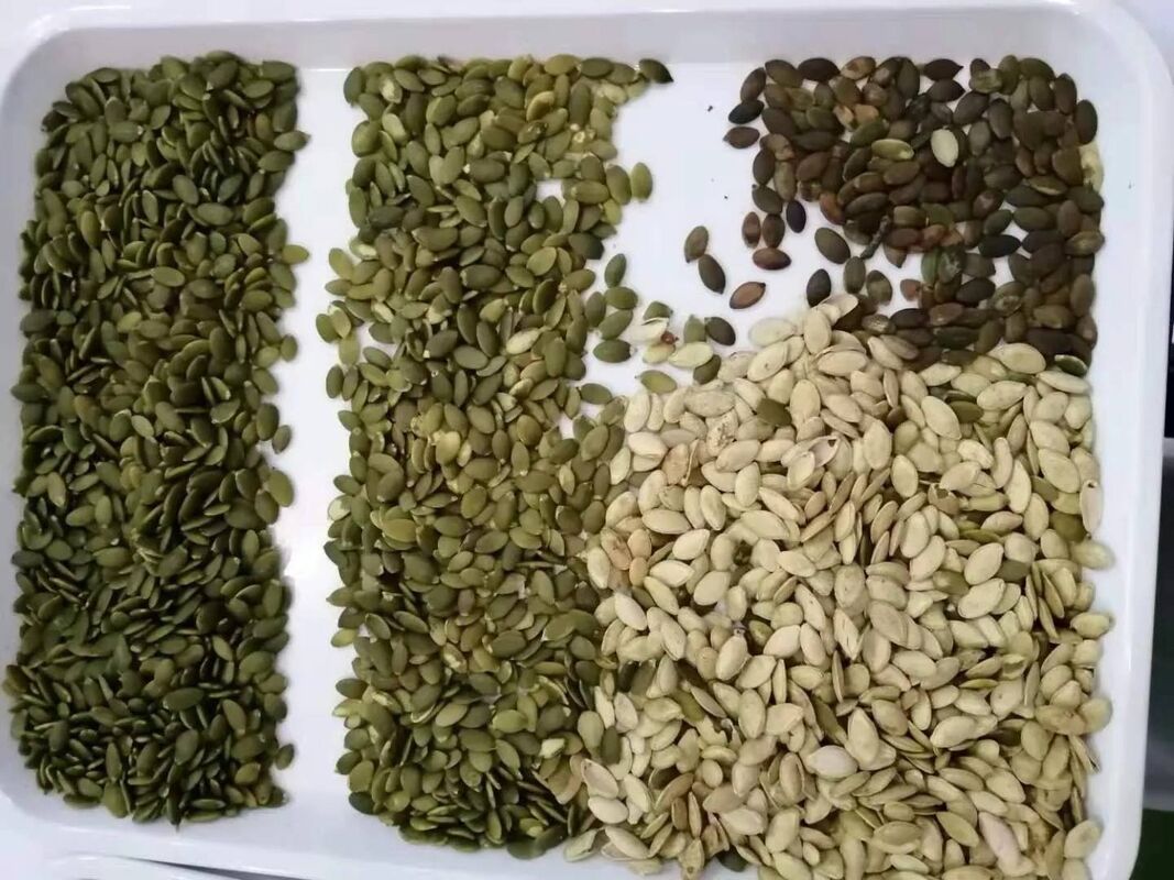 Trieuse de couleur CCD pour la trieuse de couleur intelligente de noix d'amandes d'arachides de haute précision