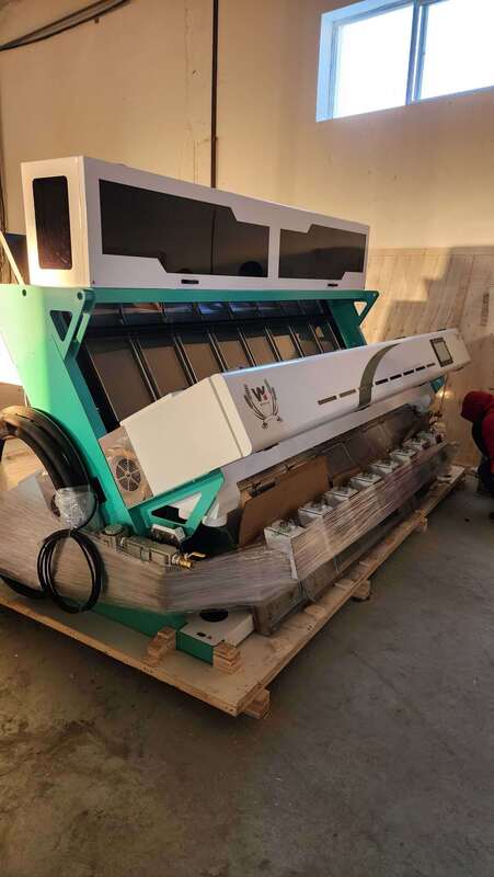 Machine de tri de couleurs pour grains de café et graines de tournesol à haut rendement avec une précision de tri de 99,95 % et 8 goulottes 512 canaux dotée d'un capteur CCD Toshiba du Japon