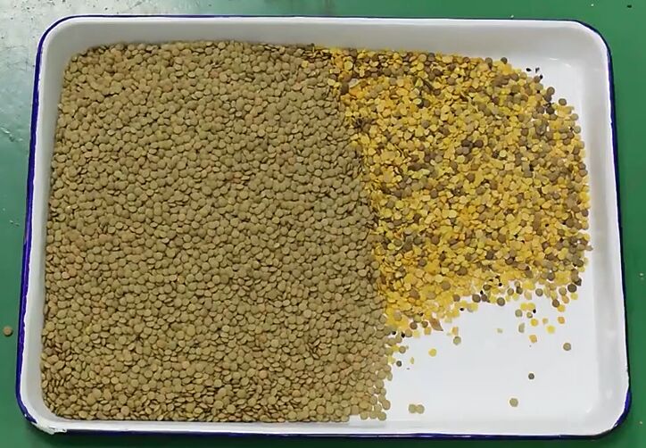 Classificateur de couleurs optiques automatique à haut rendement certifié CE ISO Grains noirs Grains de café Lentilles Machine de tri des couleurs à vendre 2026