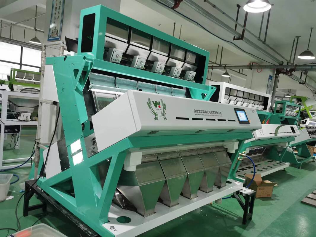 Machine de tri optique Wenyao AI Sorteuse de couleurs pour les grains de café Caturra Les cerises de café vert