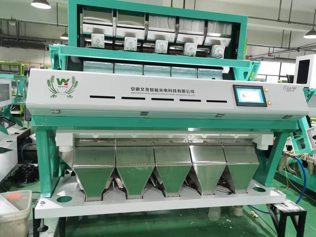 Machine de tri optique Wenyao AI Sorteuse de couleurs pour les grains de café Caturra Les cerises de café vert