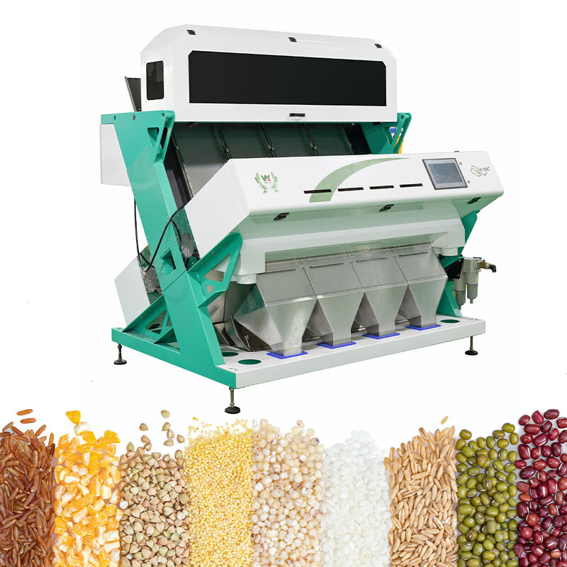 Intelligent Buckwheat Color Sorter Wheat Oats Quinoa Separating Machine 3 Chutes 6 Cameras