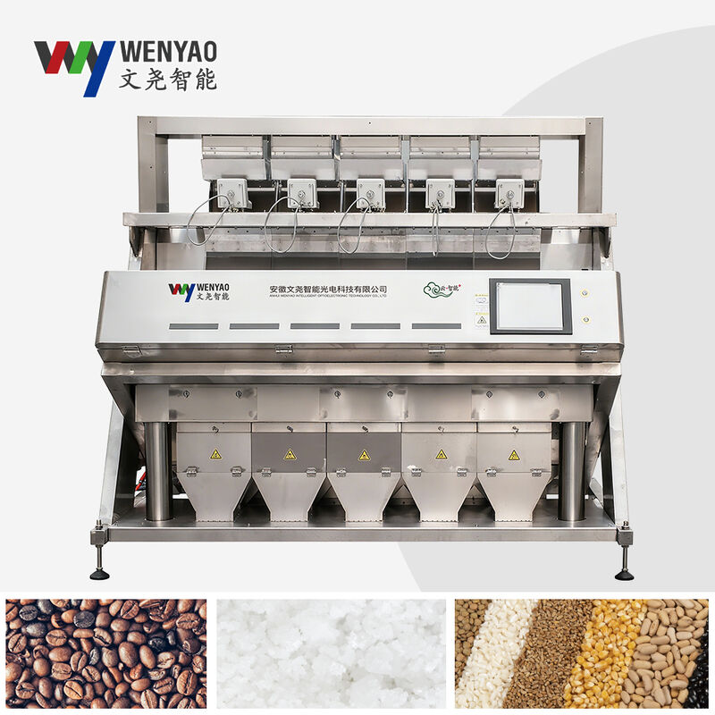 Machine de tri de couleur intelligente WENYAO en acier inoxydable 304/316 pour le sel, élimination des impuretés