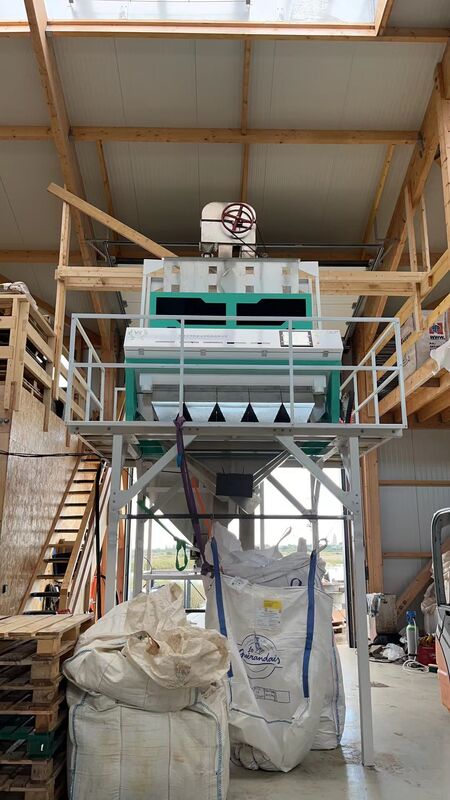 Machine de tri de couleur intelligente WENYAO en acier inoxydable 304/316 pour le sel, élimination des impuretés