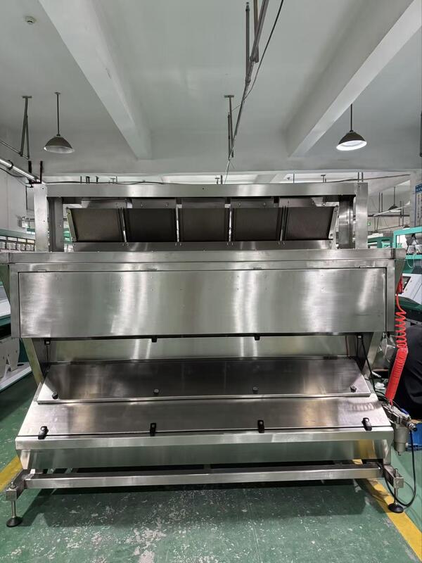 Machine de tri de couleur intelligente WENYAO en acier inoxydable 304/316 pour le sel, élimination des impuretés