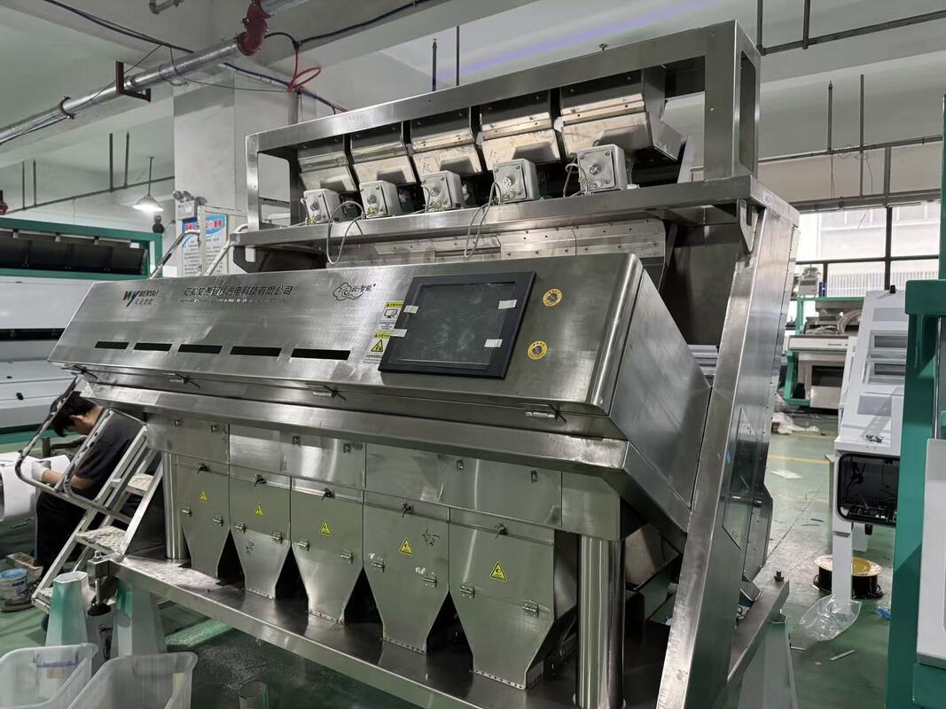 Machine de tri de couleur intelligente WENYAO en acier inoxydable 304/316 pour le sel, élimination des impuretés