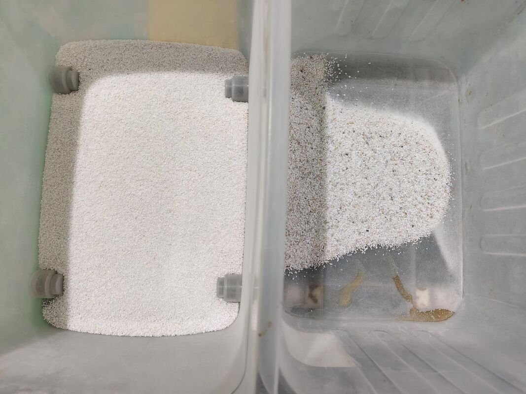 Machine de tri de couleurs à quartz minéral salin anti-corrosif SS316 à haute capacité et 10 canaux avec une précision de tri de 99,99 %