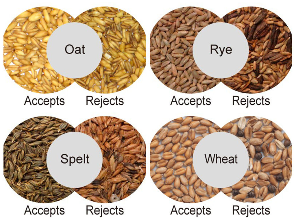 WENYAO Intelligent Self-Calibrating Grain Separator Low Air Consumption High Purity Processing Machine Grain Color Sorter