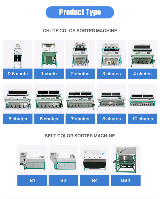Sorteur de couleurs en plastique auto-nettoyant Wenyao avec une précision de tri de 99,99% et une capacité de 5000 kg/h