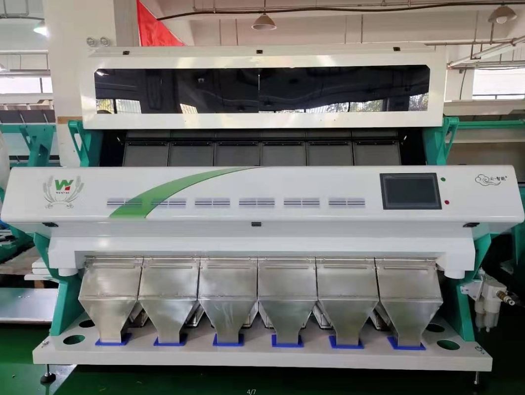 4T/H Sacha Inchi Bean Sorting Machine avec l'exactitude de tri élevée