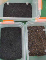 Trieuse chaude de couleur de CCD de vente pour la machine d'évaluation de haricots noirs pour la ferme transformant des haricots