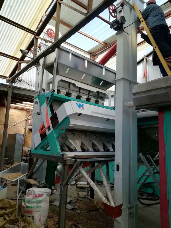 Ligne de traitement du sésame WYCS5-320 Machine de séchage de couleur de graines de sésame blanche pour l'enlèvement et le nettoyage du sésame noir