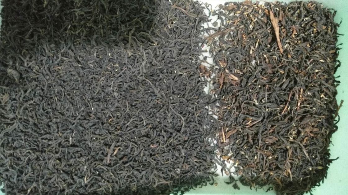 Machine de WENYAO Flower Tea Color Sorter pour la sélection jaune de bâtons