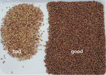 Trieur de couleur de blé à LED WENYAO, faible consommation d'énergie, séparateur de grains