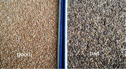 Trieur de couleur de blé à LED WENYAO, faible consommation d'énergie, séparateur de grains