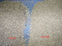 Installation de fabrication optique de quinoa de couleur de CCD pour la ferme à assortir le séparateur de quinoa