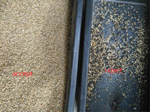 Canaux Wenyao Color Sorter de 1 descendeur 64 pour des graines de Rye