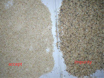 Sorteur de couleurs de graines avec 5400 pixels CCD