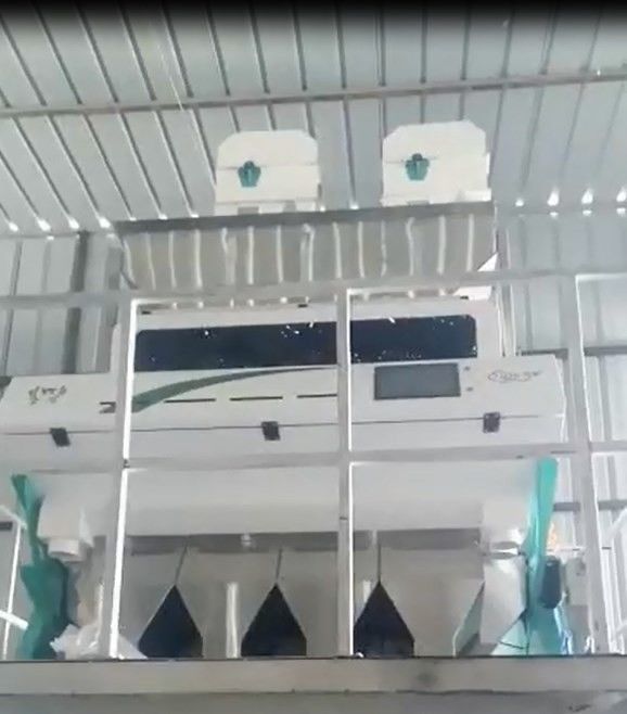 Descendeurs du haricot 4 de grain de riz de WENYAO Color Sorter Machine For