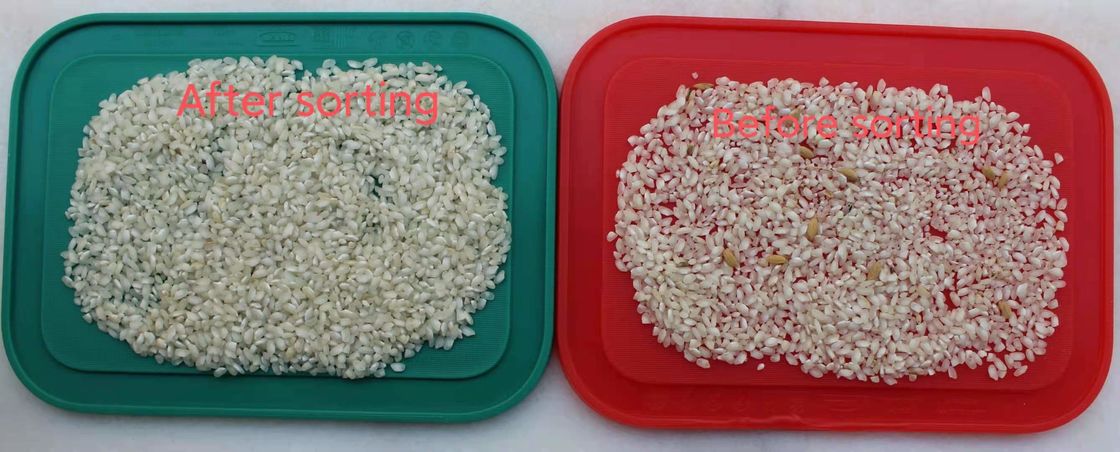 Trieuse visqueuse de couleur de riz, installation de fabrication de riz de 99,99 exactitudes RVB