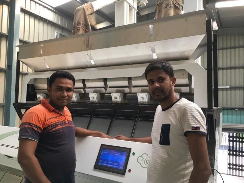 Trieuse complètement automatique de couleur de grains d'opération facile avec l'intelligence artificielle
