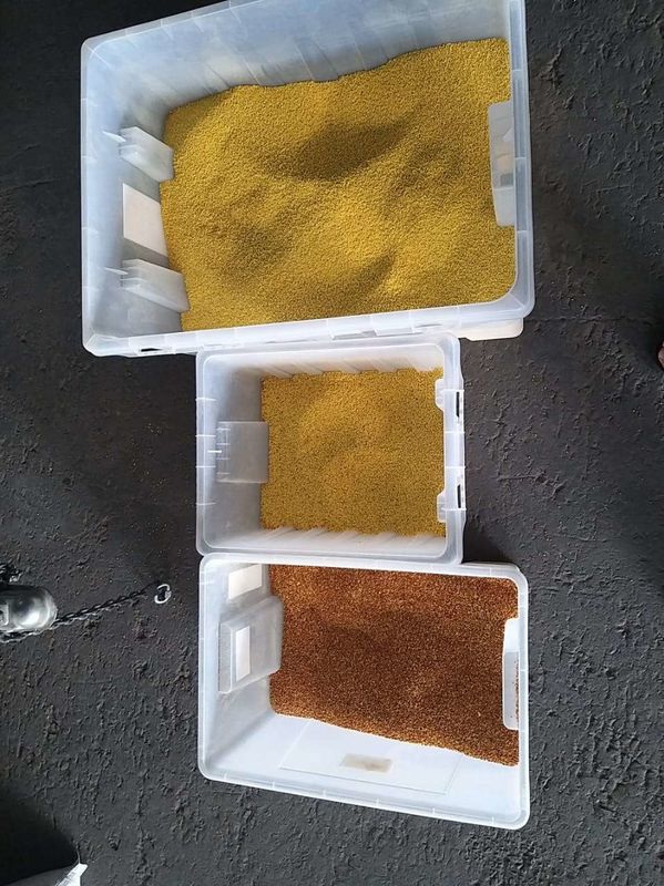 Éjecteurs en métal de trieuse de couleur de grain du millet 7T/H avec la longue vie